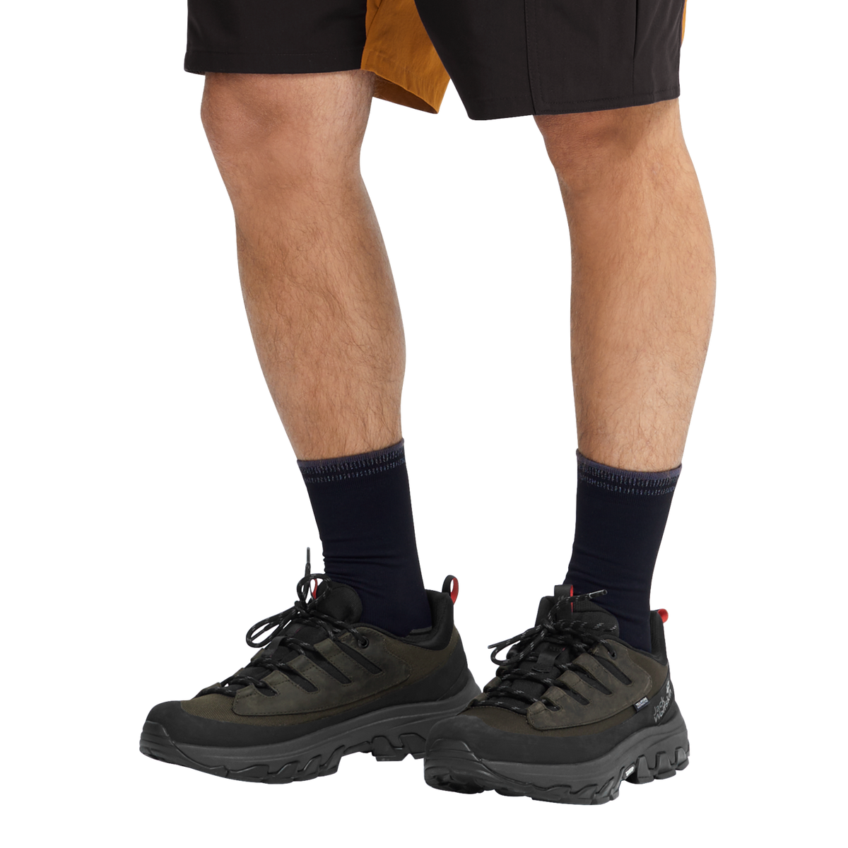 Jack Wolfskin APEX HIKE TEXAPORE LOW Herren Obsidian Moss – Ansicht 2
