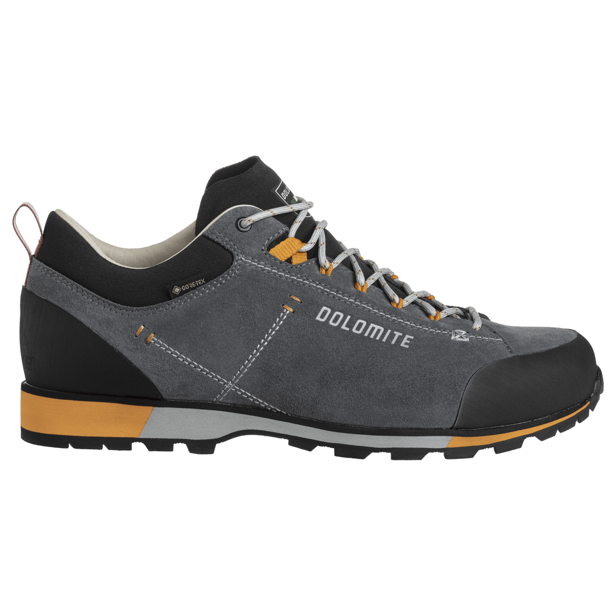 Dolomite 54 HIKE LOW EVO GORE-TEX MEN
