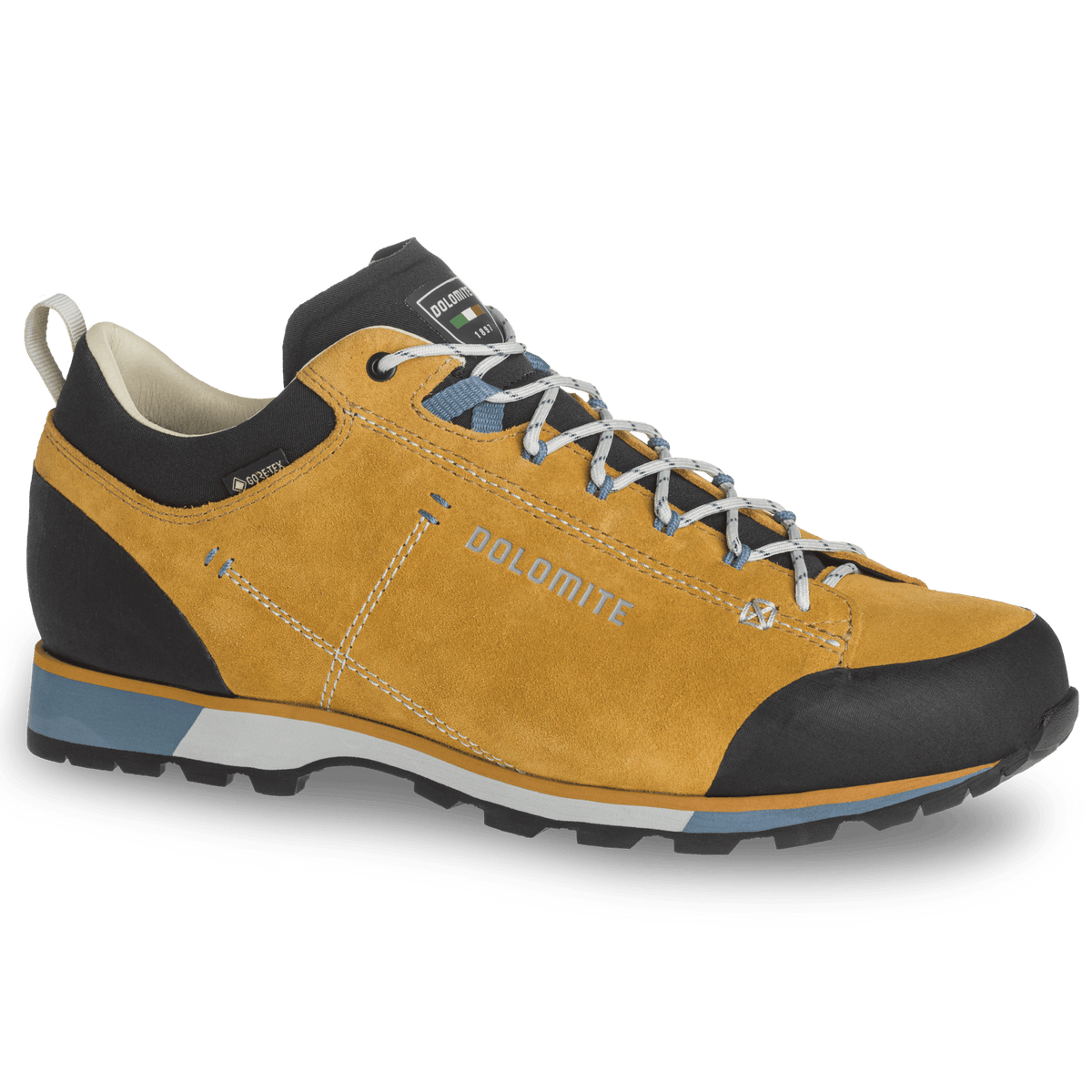 Dolomite 54 HIKE LOW EVO GORE-TEX MEN