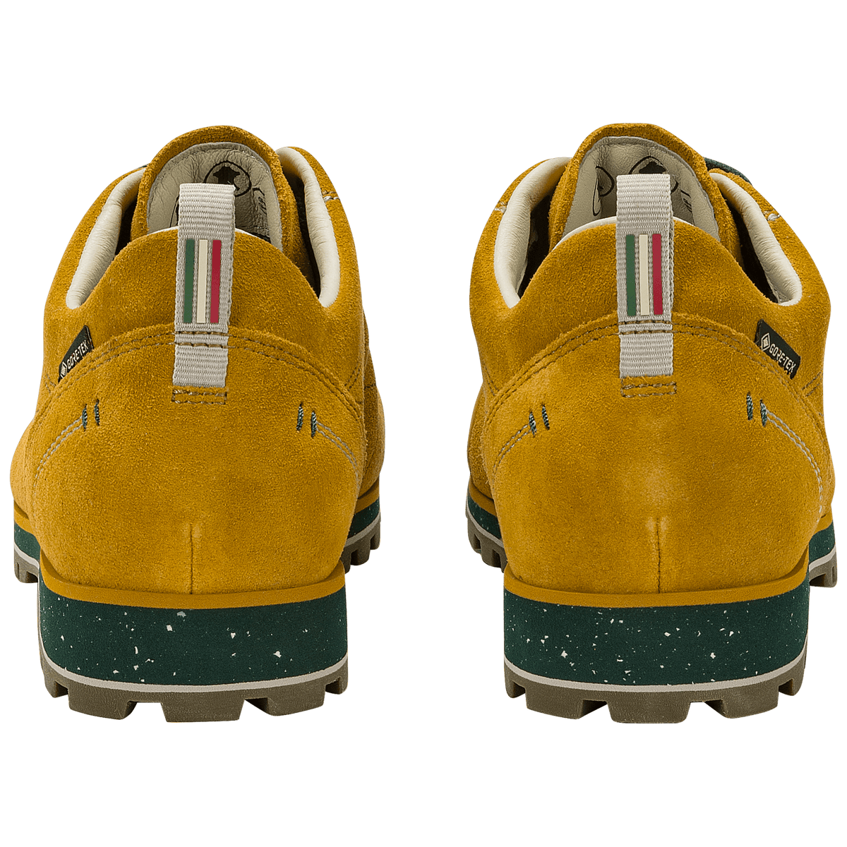 Dolomite 54 LOW EVO GTX