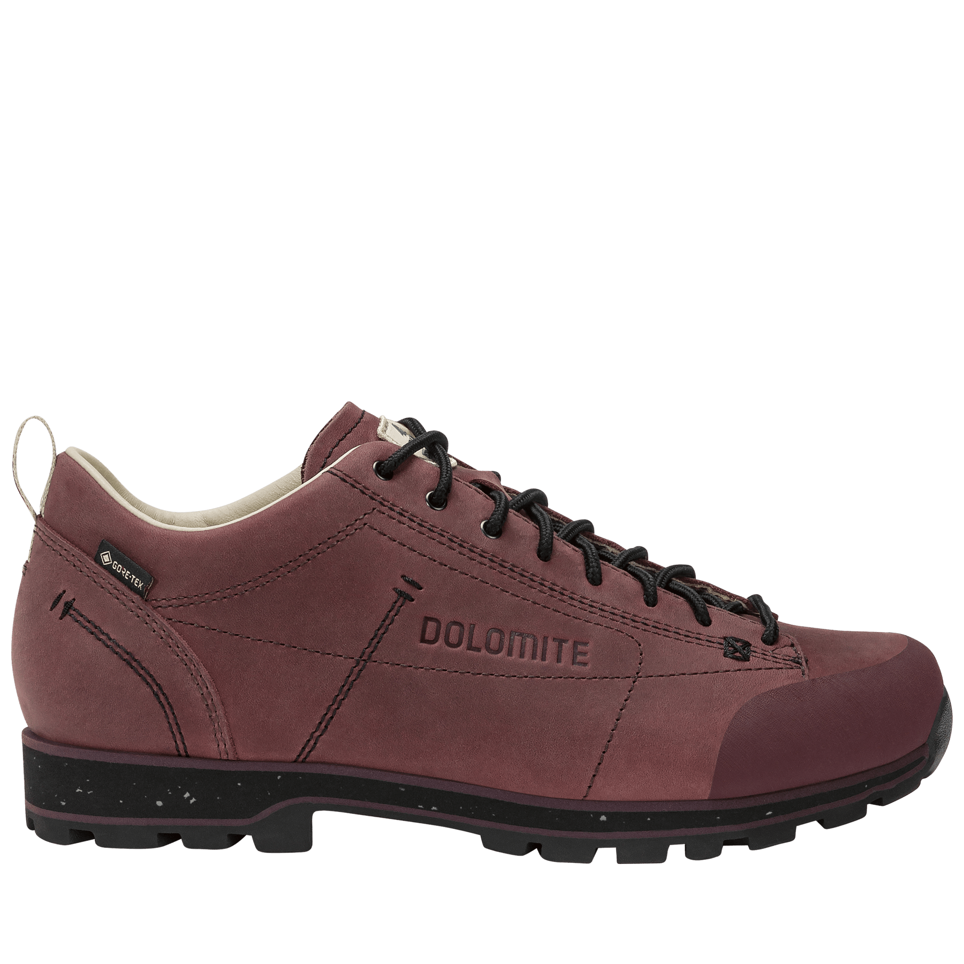 Dolomite 54 LOW FG EVO GORE-TEX