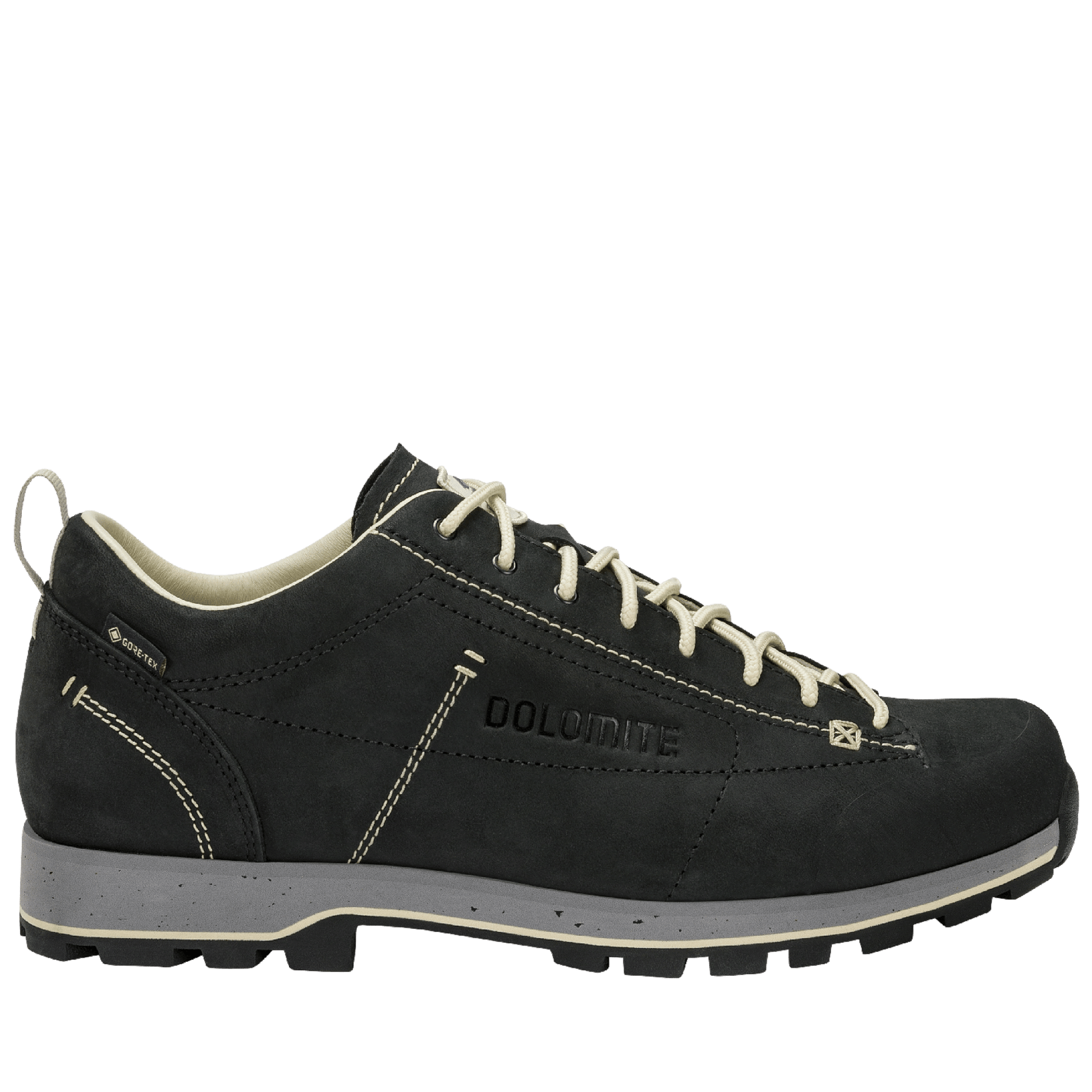 Dolomite 54 LOW FG EVO GORE-TEX