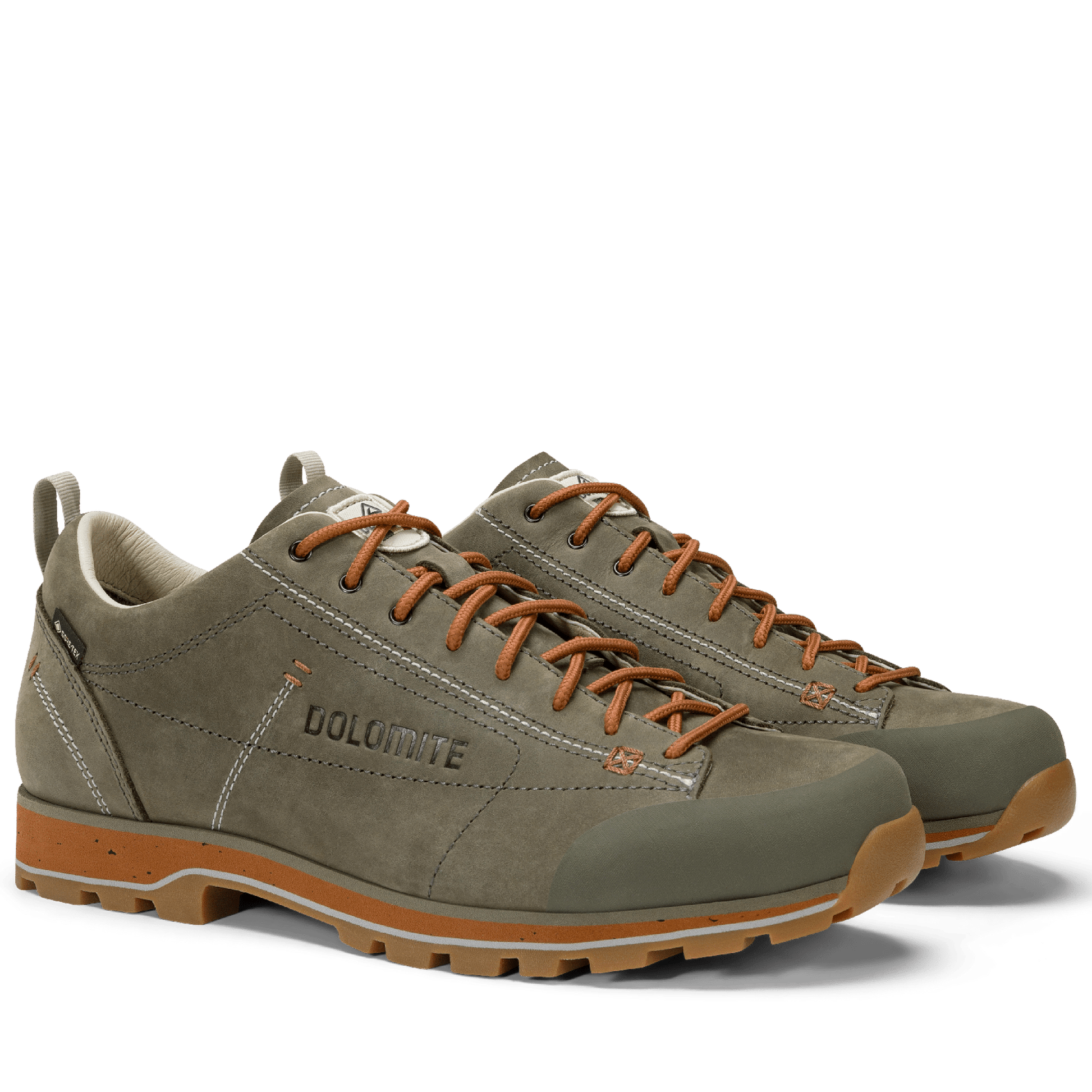 Dolomite 54 LOW FG EVO GORE-TEX