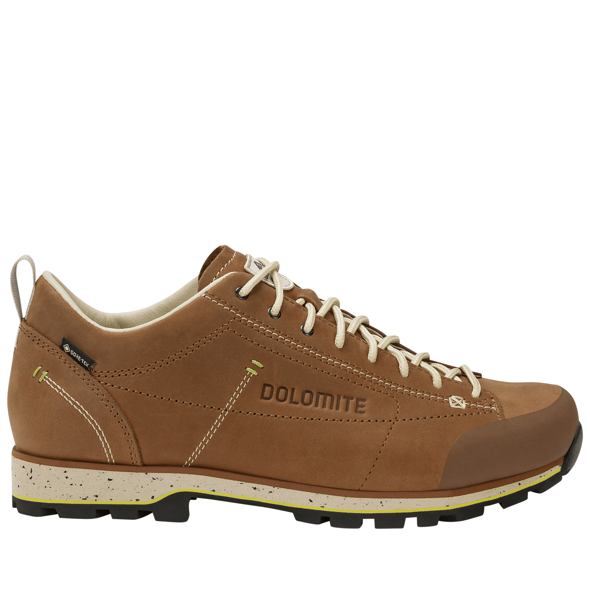 Dolomite 54 LOW FG EVO GORE-TEX