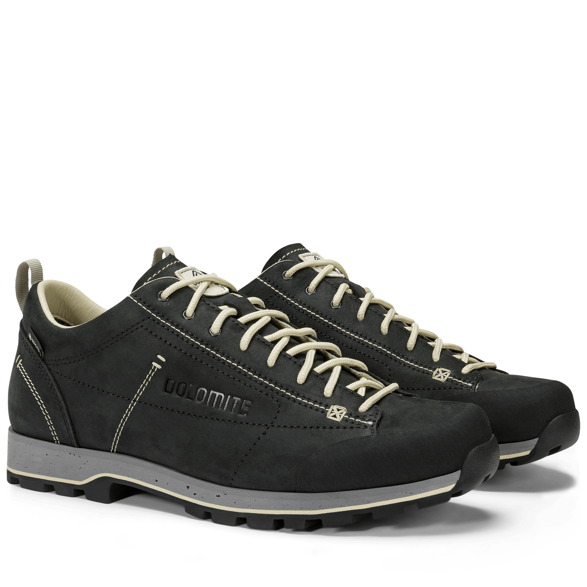 Dolomite 54 LOW FG EVO GORE-TEX