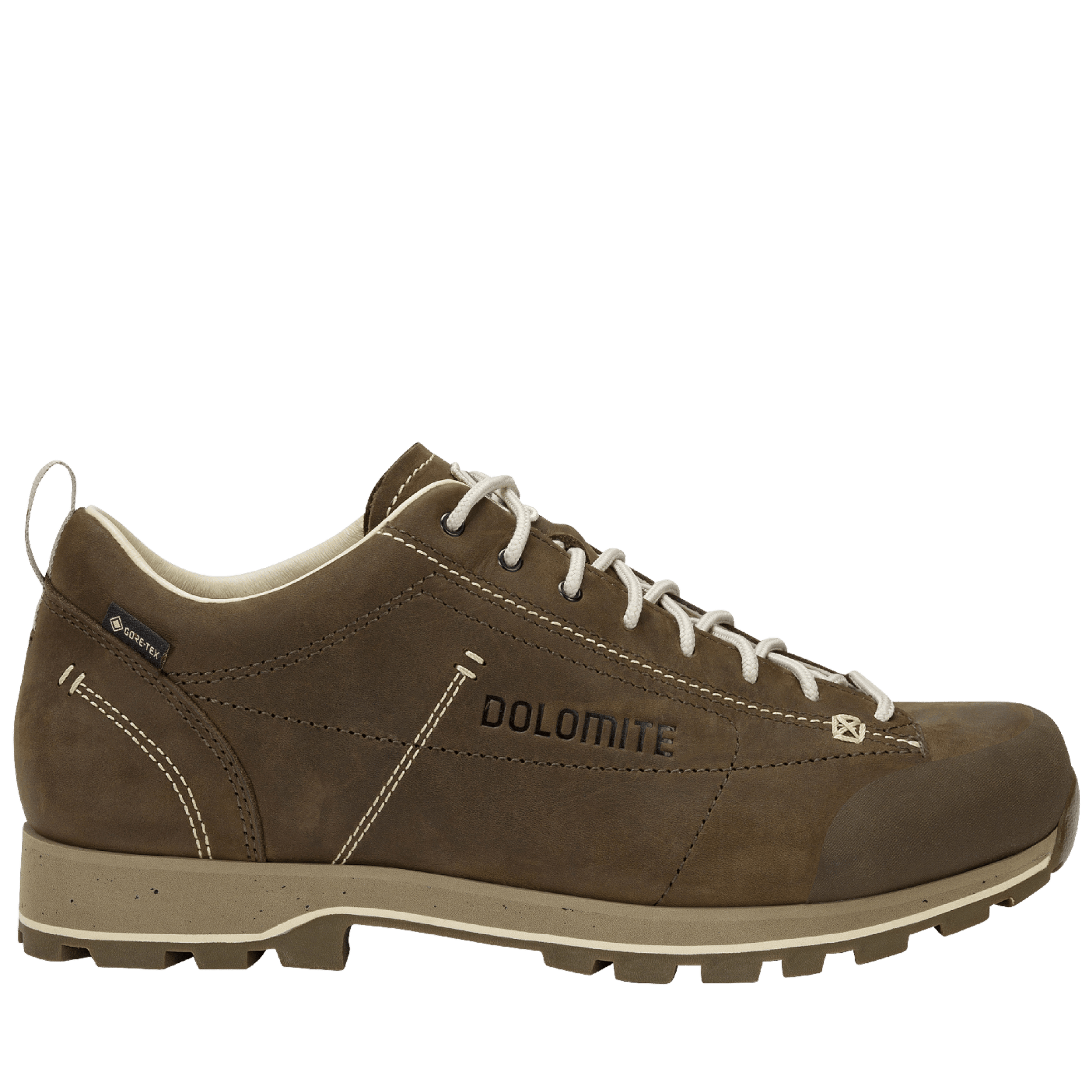 Dolomite 54 LOW FG EVO GORE-TEX