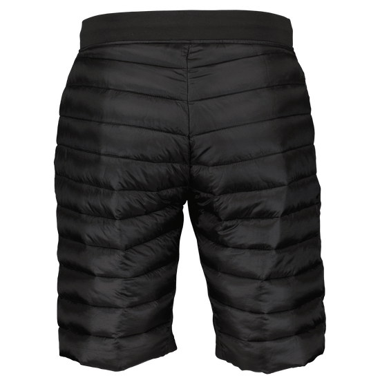 Scott M SHORTS INSULOFT TECH
