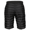 Scott M SHORTS INSULOFT TECH