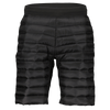 Scott M SHORTS INSULOFT TECH