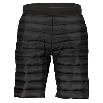 Scott M SHORTS INSULOFT TECH