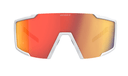 Scott SUNGLASSES SHIELD