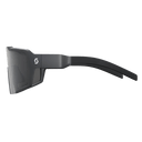 Scott SUNGLASSES SHIELD