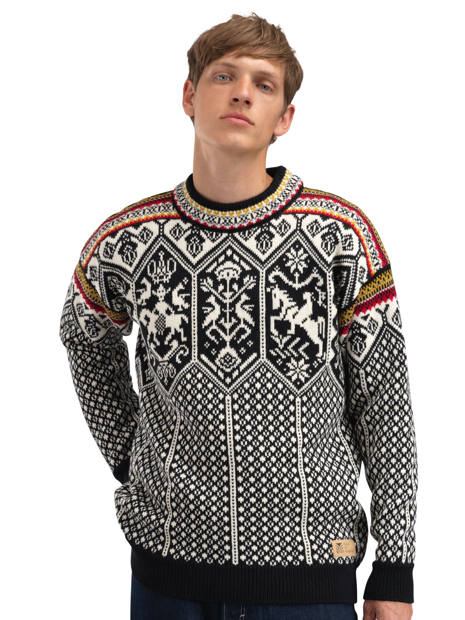 Dale Of Norway M 1994 MASC SWEATER - Pullover bei PeakStyle