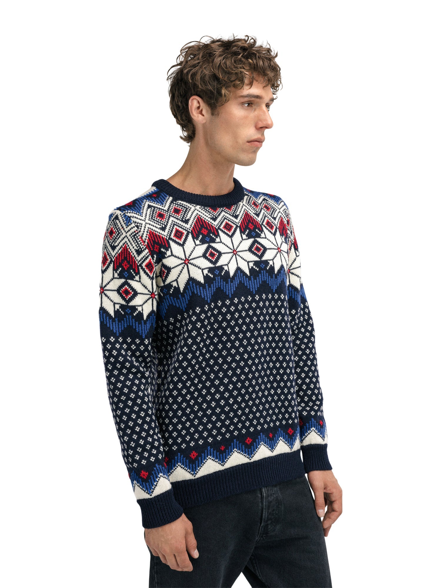 Dale Of Norway M VEGARD MASCULINE SWEATER - bei PeakStyle