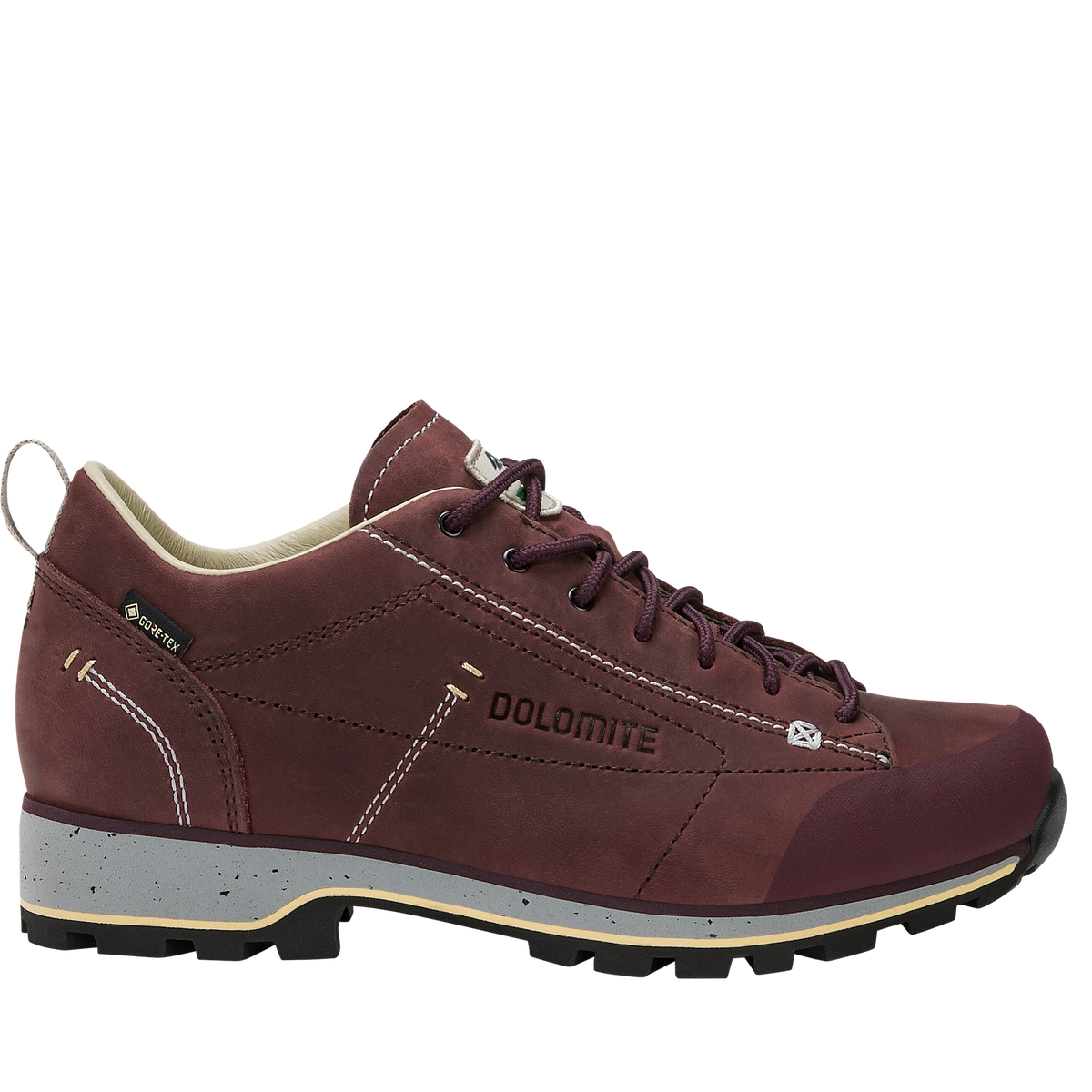 Dolomite 54 Low FG Evo GORE-TEX Damenschuh – Rosewood Brown