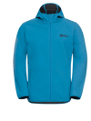 Jack Wolfskin M BORNBERG HOODY M - Jacken bei PeakStyle