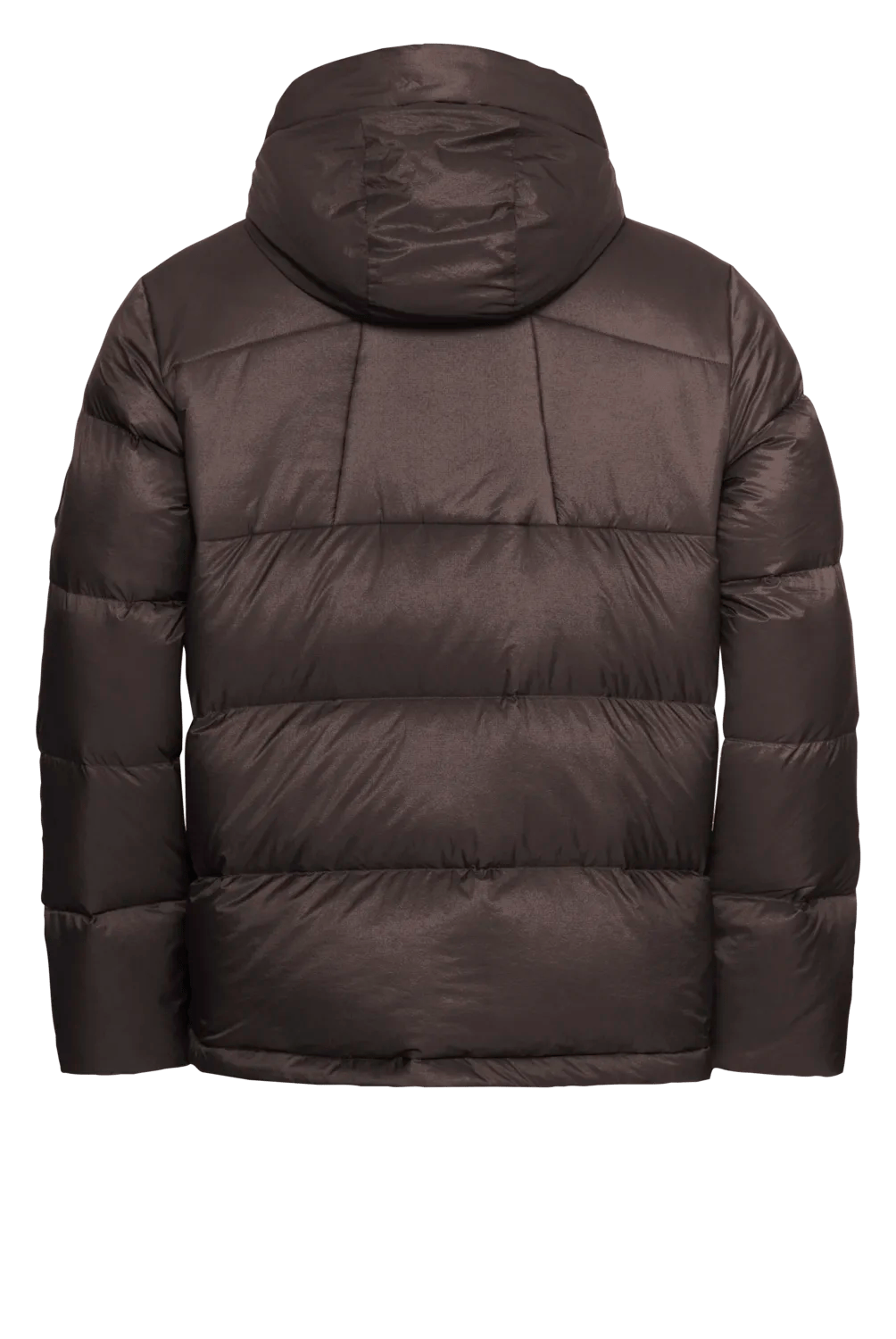 Jack Wolfskin M ICY HILL JACKET M RDS - Jacken bei PeakStyle