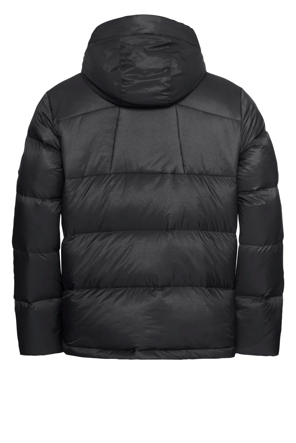 Jack Wolfskin M ICY HILL JACKET M RDS - Jacken bei PeakStyle