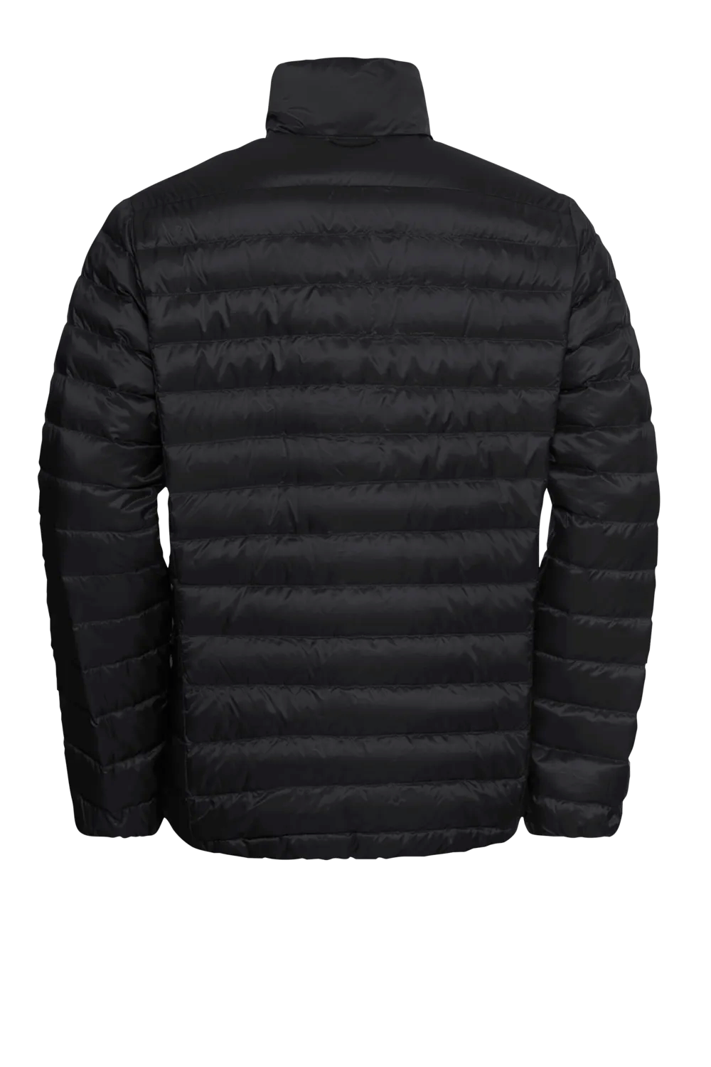 Jack Wolfskin M PILVI DOWN JACKET M RDS - Jacken bei PeakStyle
