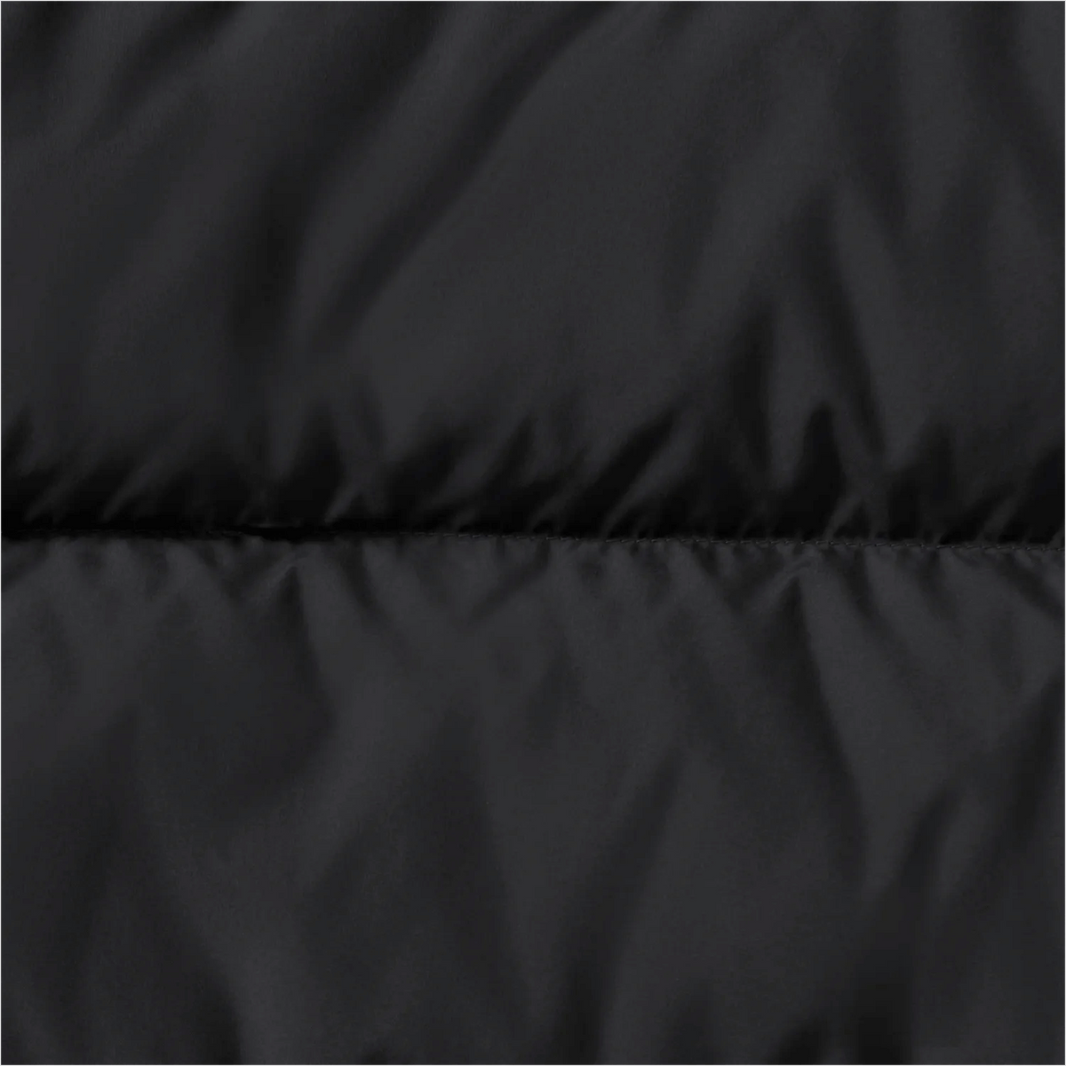 Jack Wolfskin W FROZEN PALACE COAT W RDS - Mäntel & Parkas bei PeakStyle