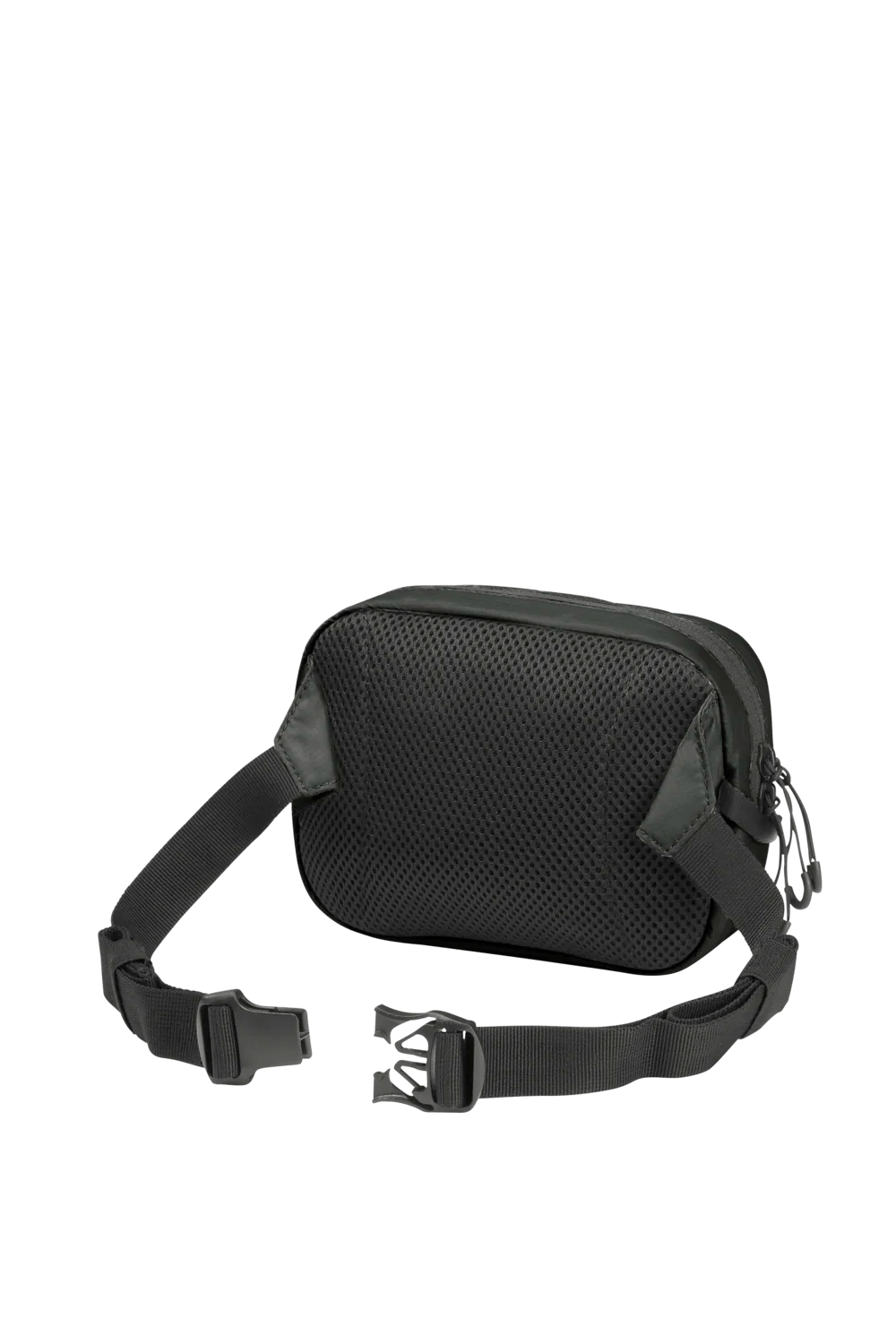 Jack Wolfskin WANDERMOOD HIPBAG - Hüfttaschen bei PeakStyle