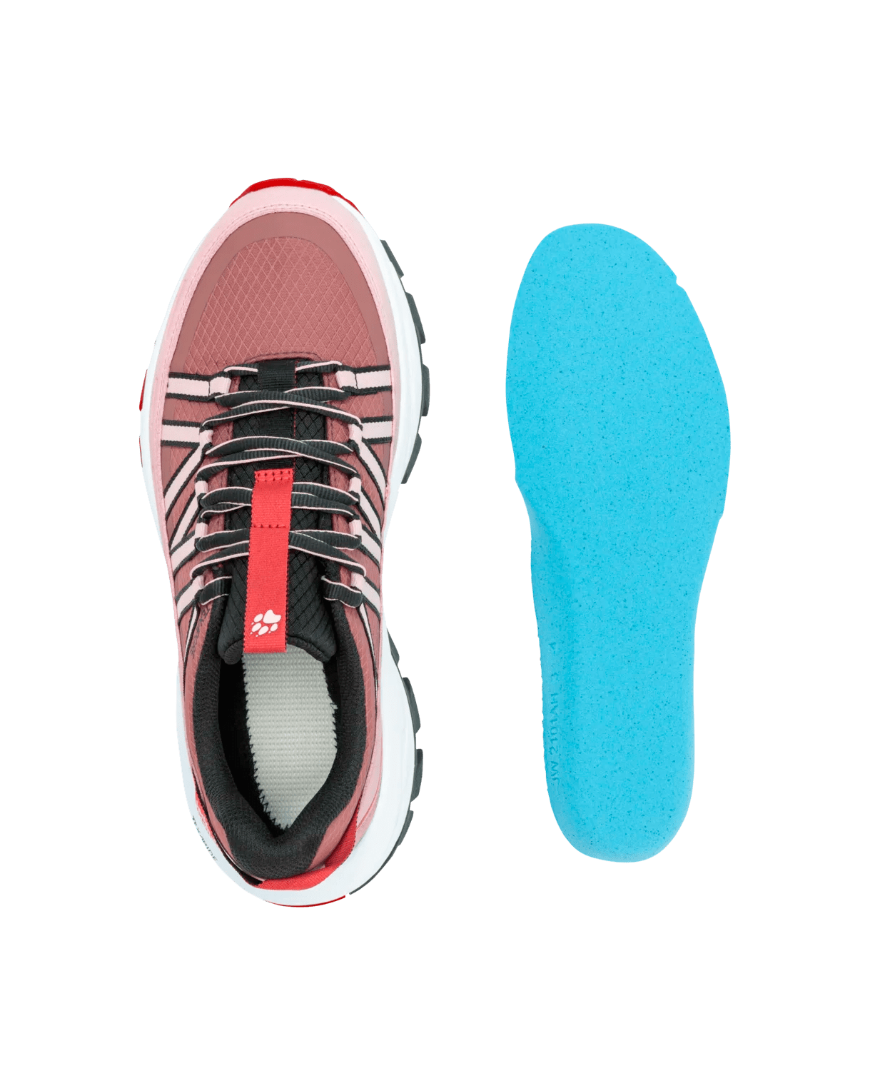 Jack Wolfskin WILD HIKE TEXAPORE LOW W - bei PeakStyle